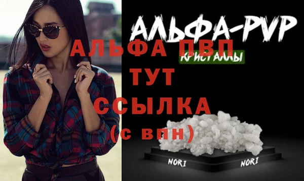 прущие грибы Елабуга