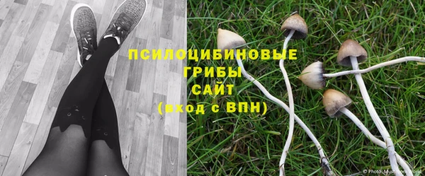 марки lsd Покровск